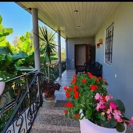 Ios Guest House Kobuleti Exterior photo